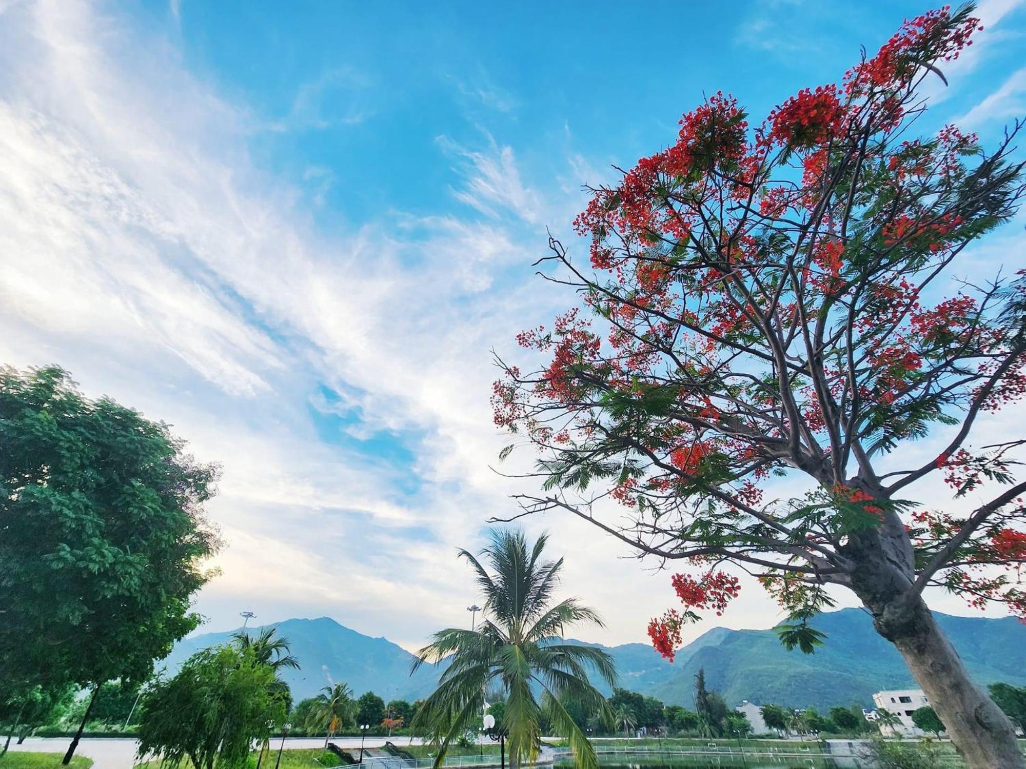 Moc Homestay- Near Bai Dai Beach Cam Lam Esterno foto