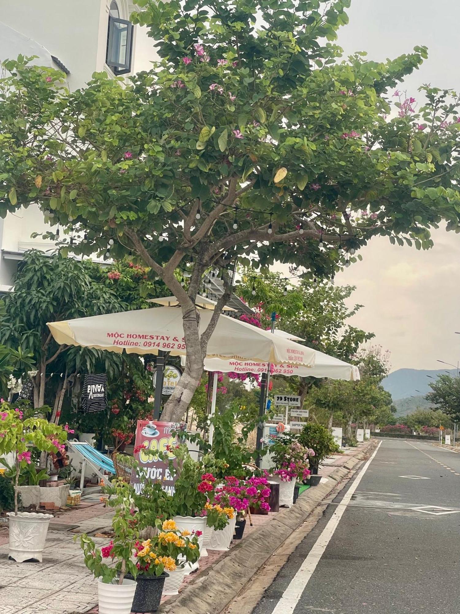 Moc Homestay- Near Bai Dai Beach Cam Lam Esterno foto